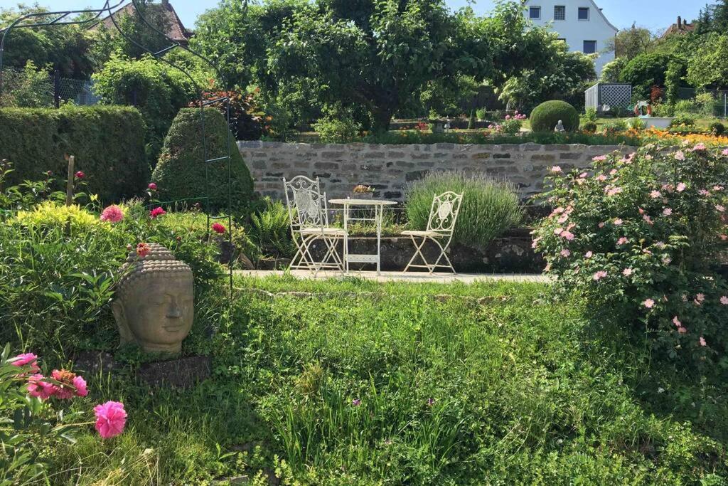 Schoenste Location In Wuerzburg Ngoại thất bức ảnh